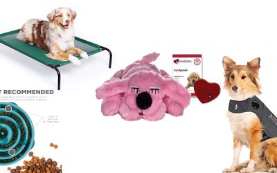 10 good gift ideas for a dog