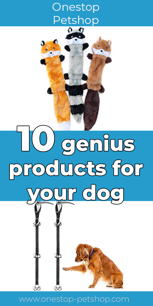 10 genius products for your dog
