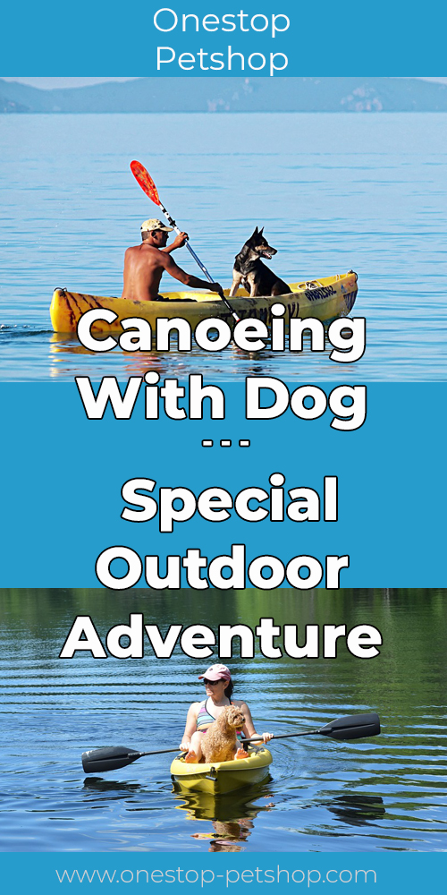 Canoeing With Dog – Special Outdoor Adventure Pinterest