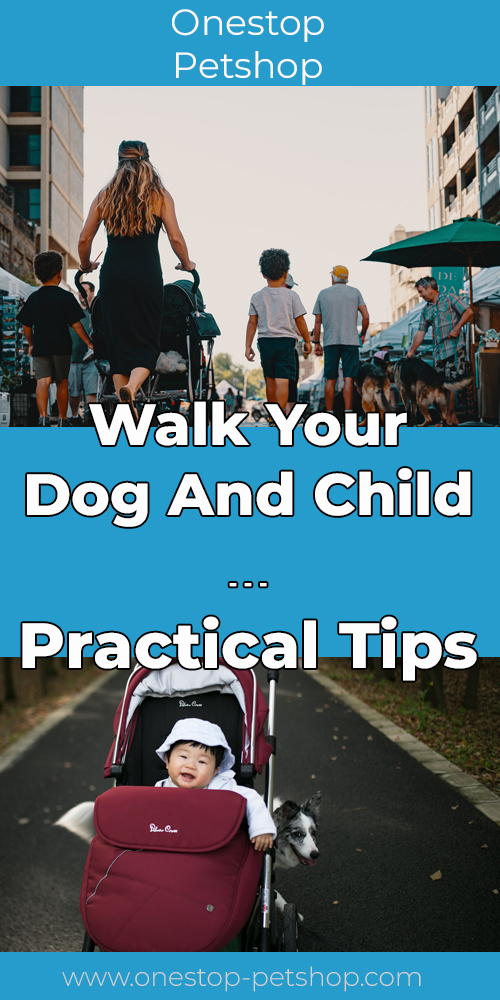 Walk Your Dog And Child – Practical Tips Pinterest