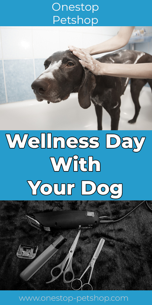 Wellness Day With Your Dog Pinterest