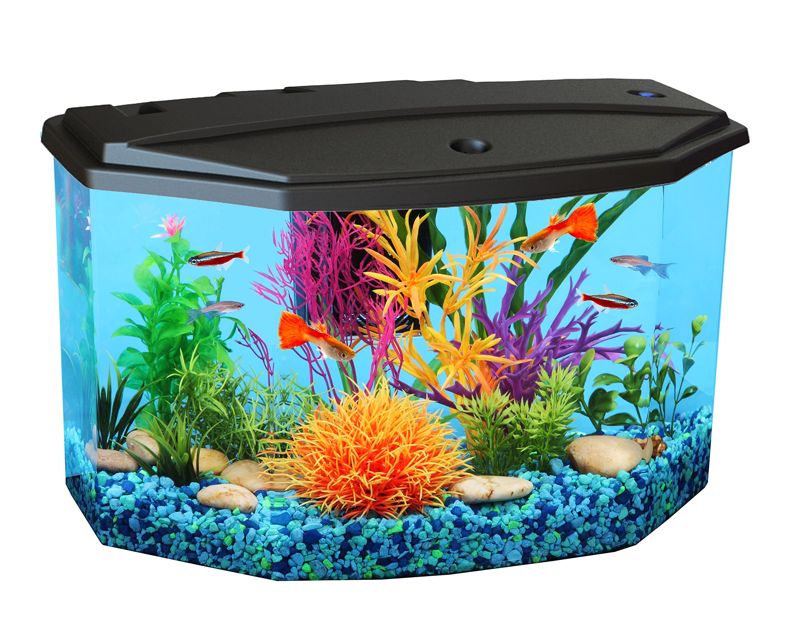 Koller Products AquaView 3-Gallon Aquarium Starter Kit