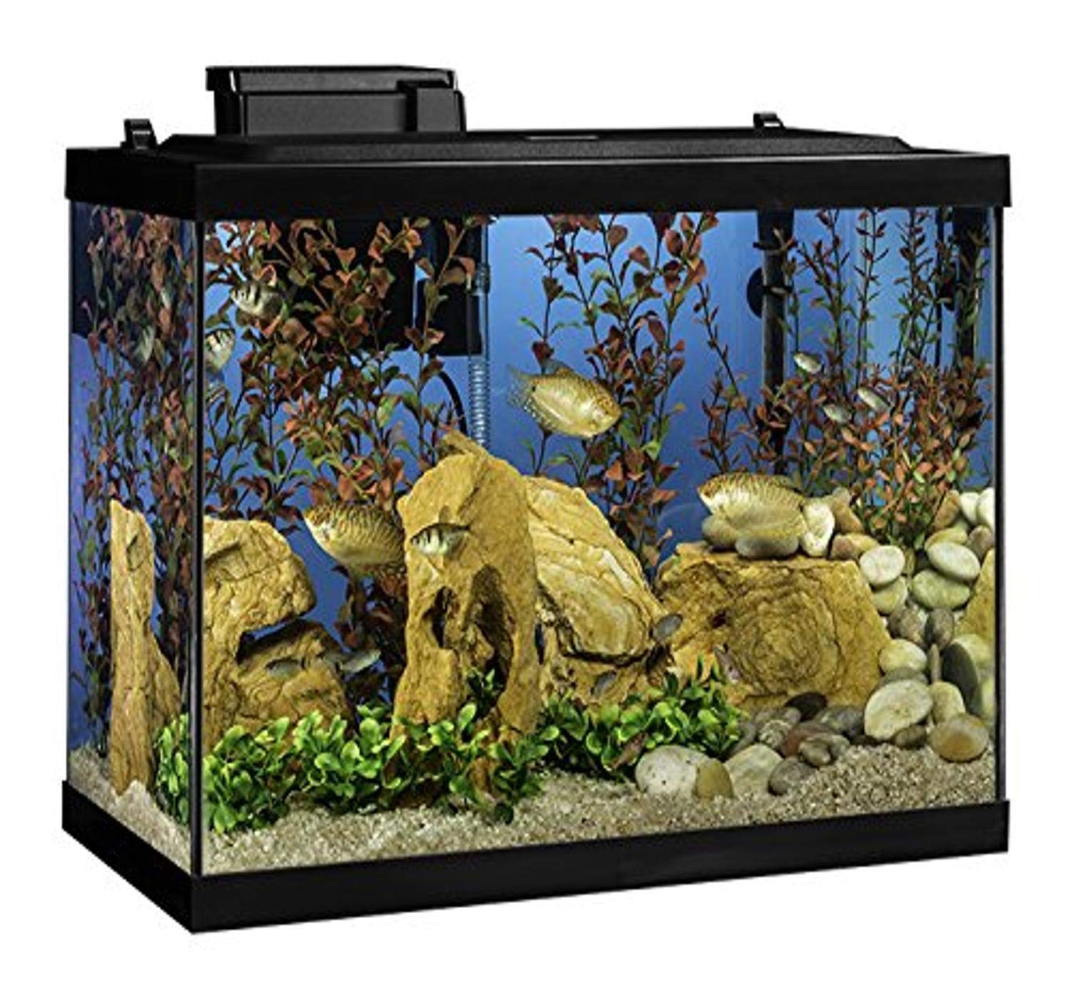 Tetra Aquarium 20 Gallon Fish Tank Kit