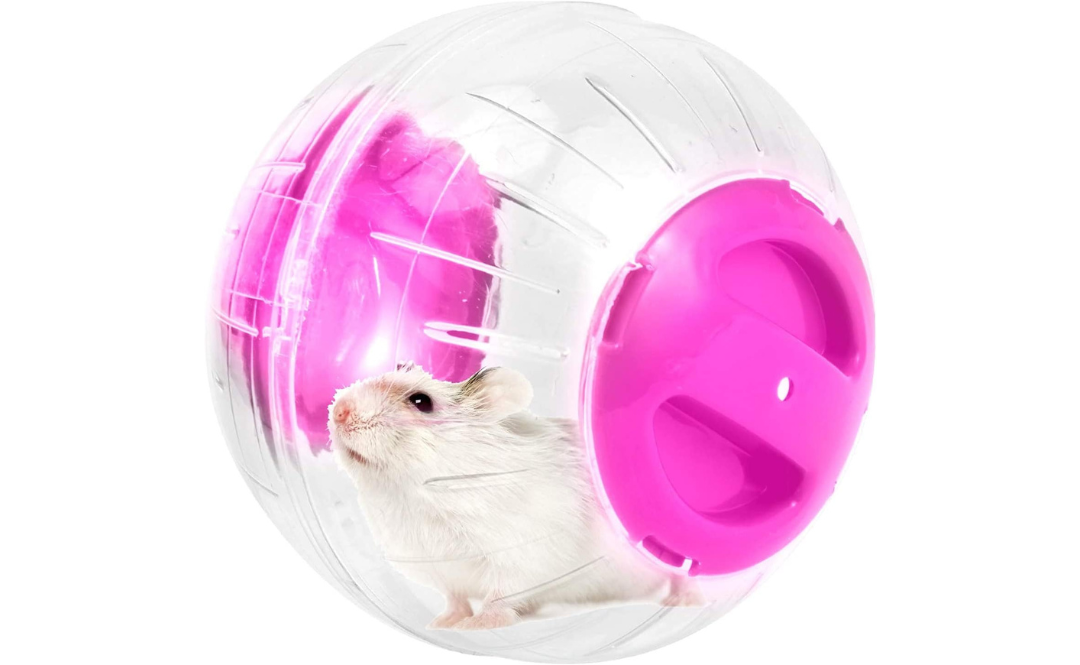 Small Animal Exercise Wheels: The Quick Guide to Keeping Your Pet Active