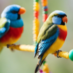 Bird Enrichment Toys