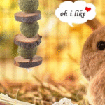 Bunny Chew Toys
