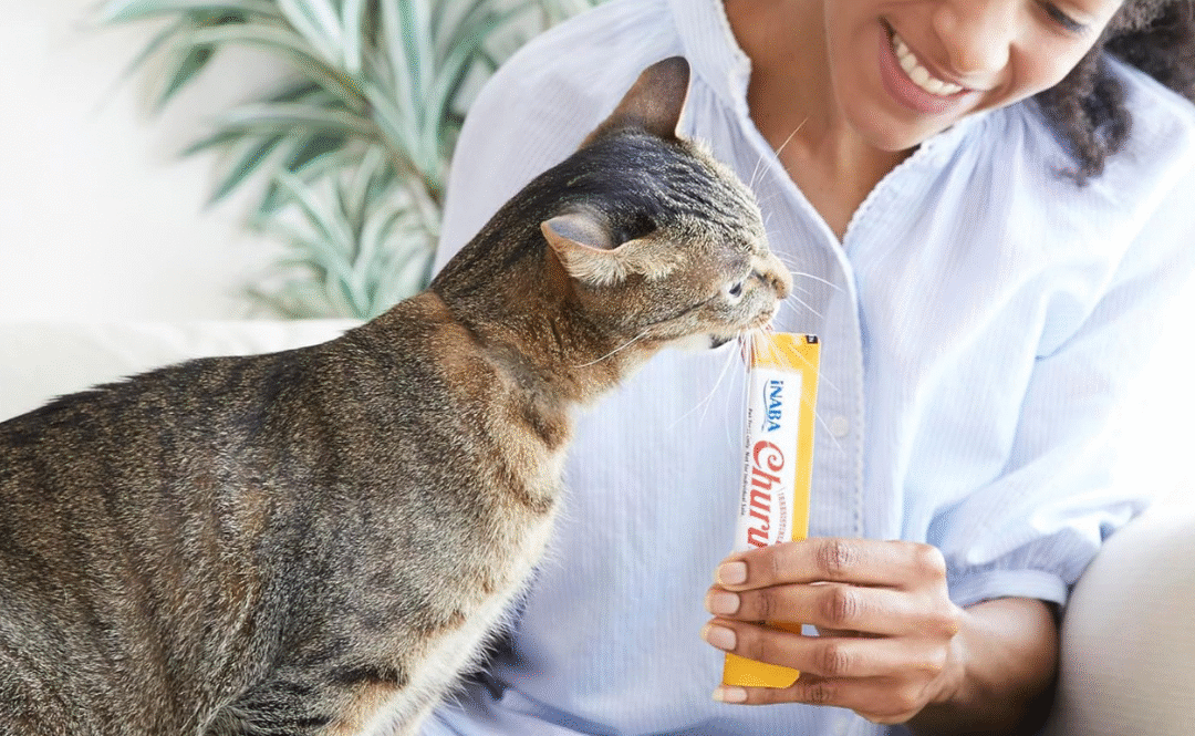 Churu Cat Treats Review: Are These the Tastiest Cat Snacks?