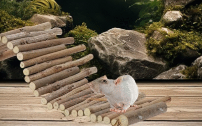 Flexible Hamster Wooden Bridge Review: Is RENEWREVITAL Worth It?