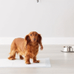 Puppy Pee Pads