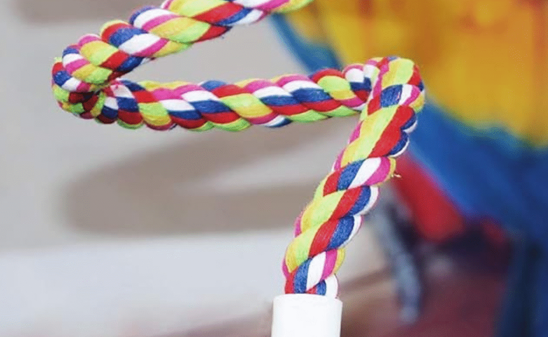 Rope Bungee Bird Toy Review: Is Petsvv’s Twist Worth the Hype?