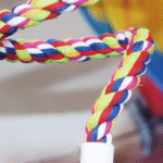 Rope Bungee Bird Toy