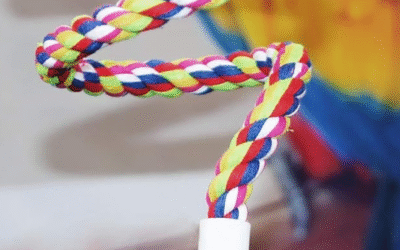 Rope Bungee Bird Toy Review: Is Petsvv’s Twist Worth the Hype?