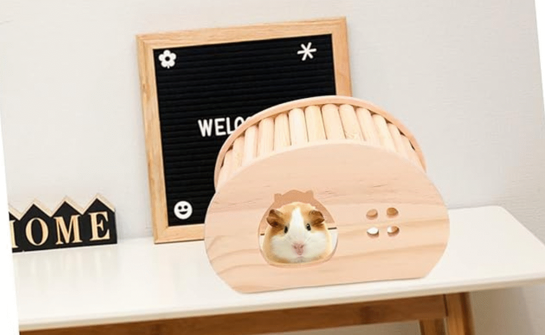 Chinchilla Hideout House