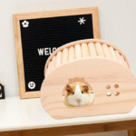 Chinchilla Hideout House