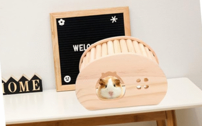 Chinchilla Hideout House Review: Will Your Pet Love This Ladder Den?
