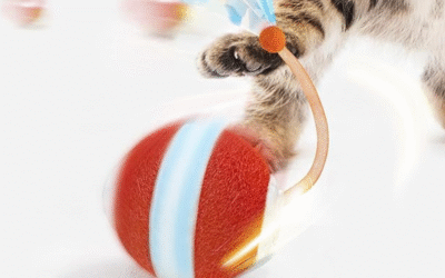Interactive Cat Toys for Indoor Cats: Are They Worth Buying?