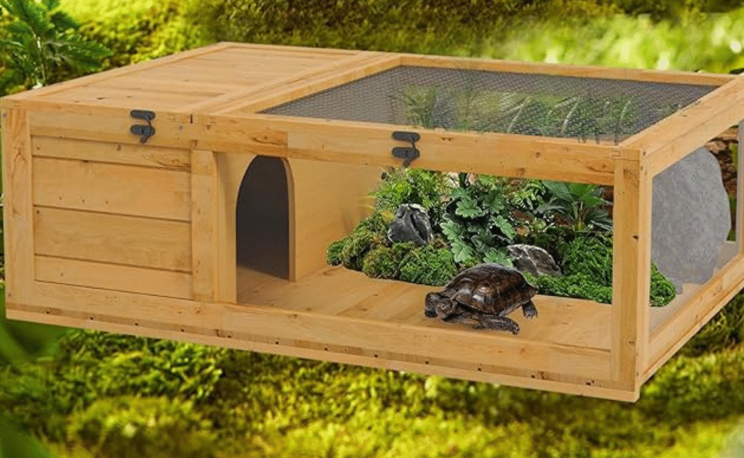 Nature Wood Tortoise Habitat