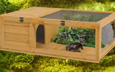 Nature Wood Tortoise Habitat: Perfect Indoor Outdoor Home?