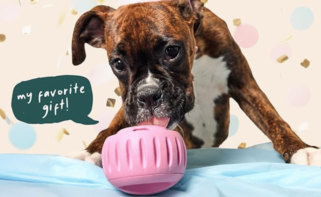 WOOF Party Pupsicle