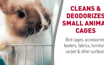 Cage and Surface Cleaner That Actually Works: Bio-Enzymatic Formula Review