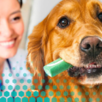 Dental Chews for Dogs