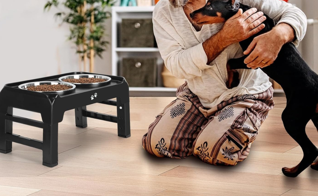 Elevated Dog Bowls