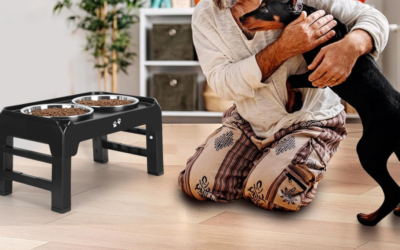 Best Elevated Dog Bowls: Adjustable, Stainless Steel Stands for Healthier Eating