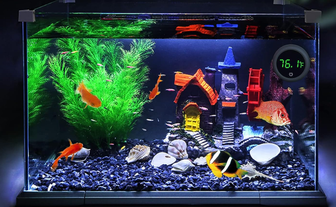 Fish Tank Digital Thermometer