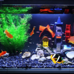 Fish Tank Digital Thermometer