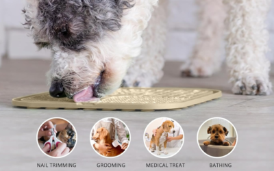 Lick Mat for Dogs and Cats: Complete Guide to Benefits, Uses & Best Practices