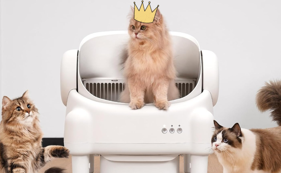 Self-Cleaning Litter Box