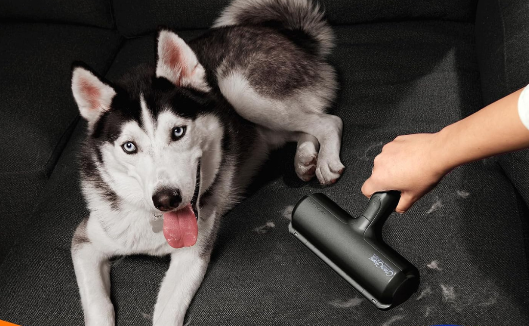 ChomChom Roller Pet Hair Remover