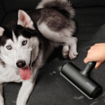ChomChom Roller Pet Hair Remover