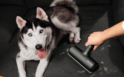 ChomChom Roller Pet Hair Remover Review: Does It Really Work in 2026?