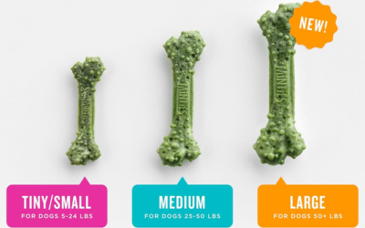 Dog Dental Bone Treats: Complete Guide to Fresher Breath and Cleaner Teeth